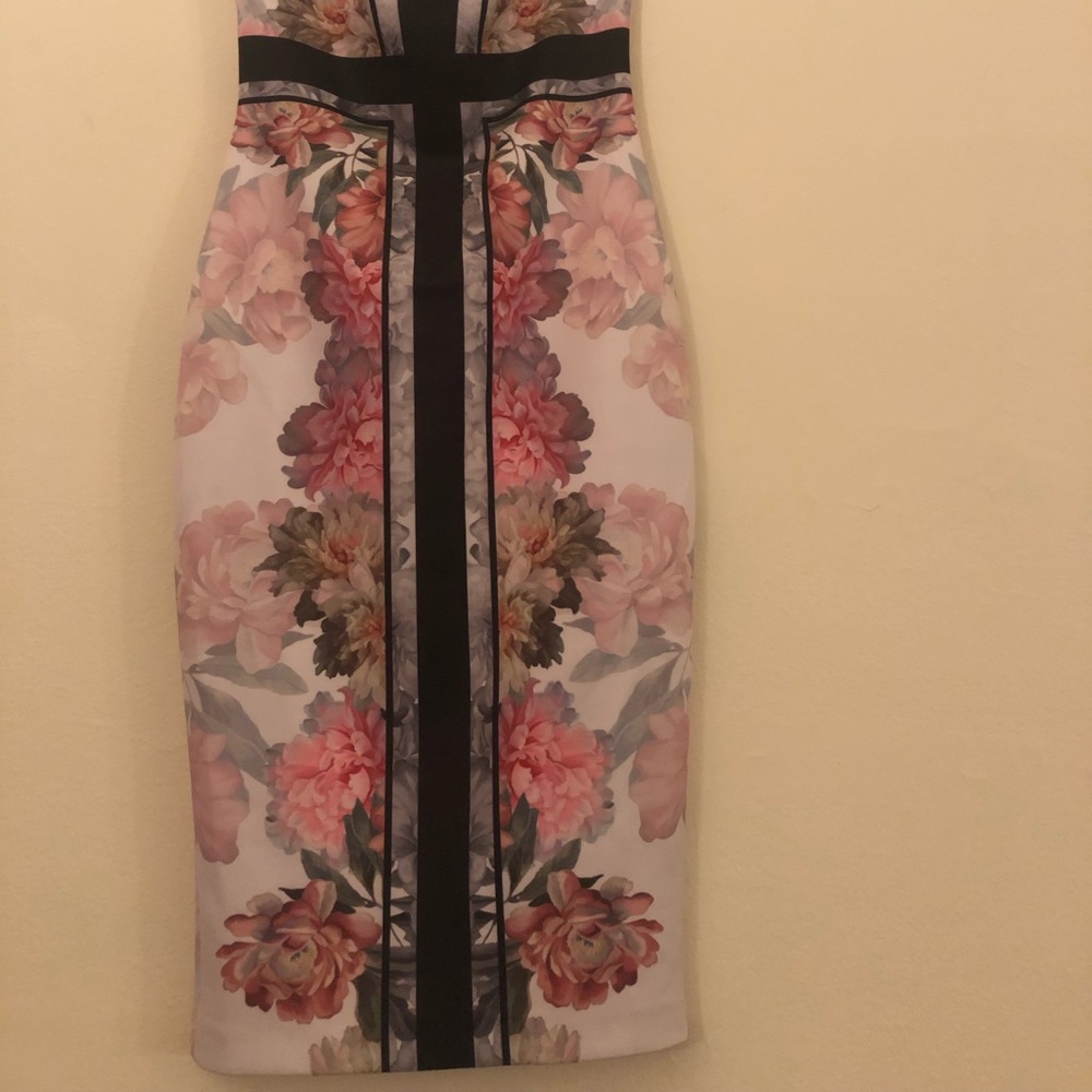 Ted Baker Dress
